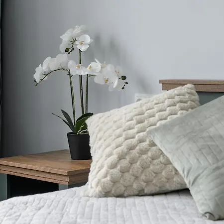 Chic & Cozy In The Heart Of Apartament Wilno